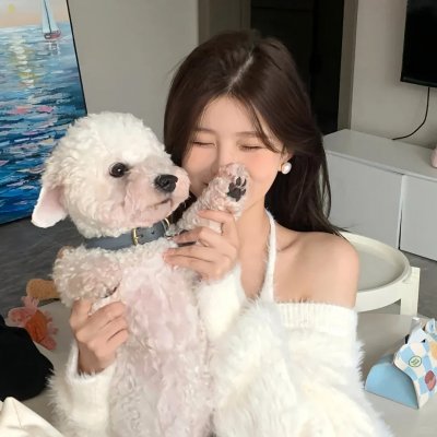 后宫开挂人生